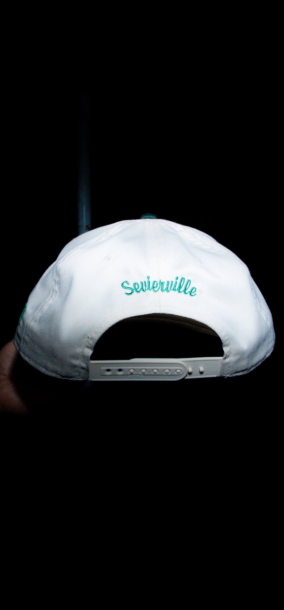 Sevierville hat