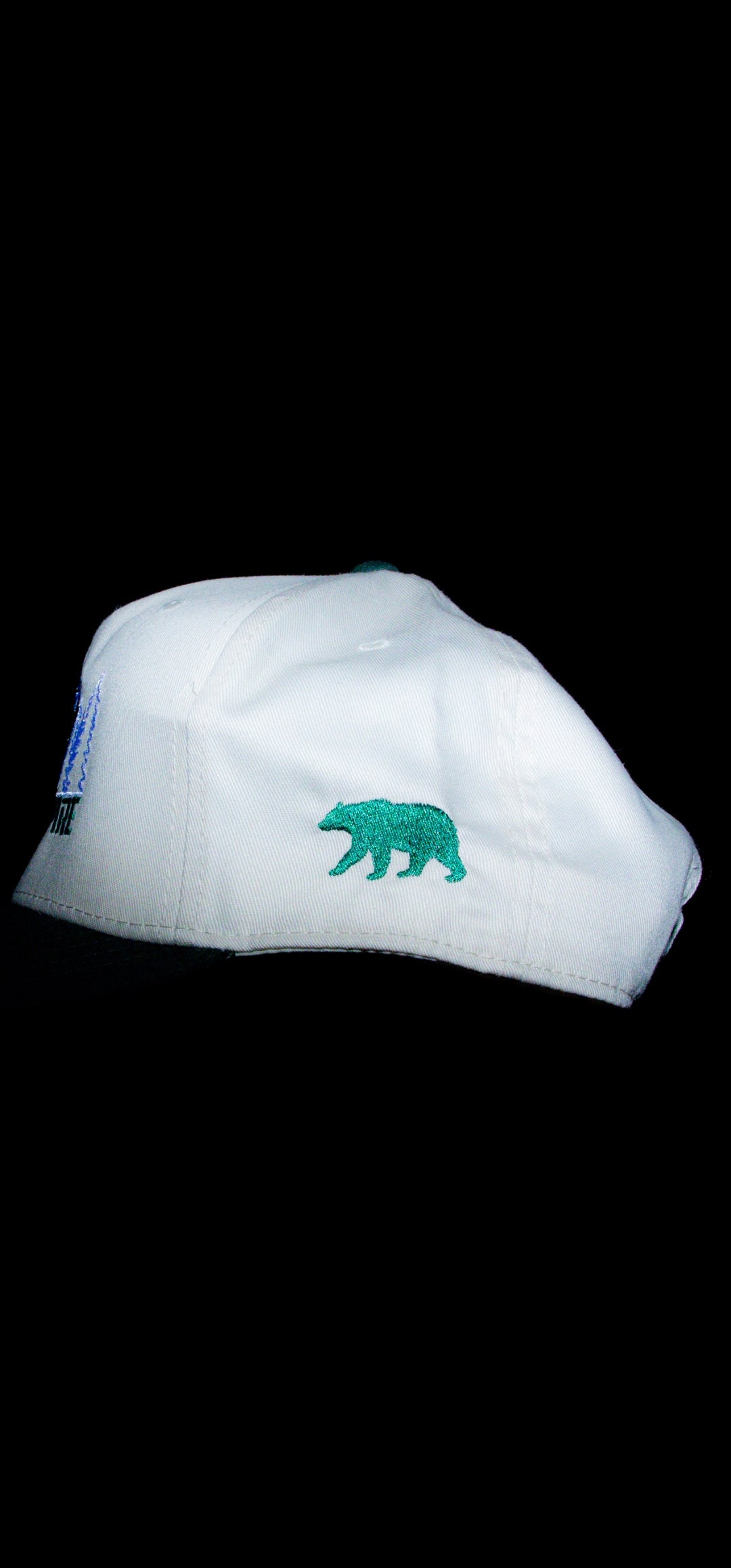 Sevierville hat